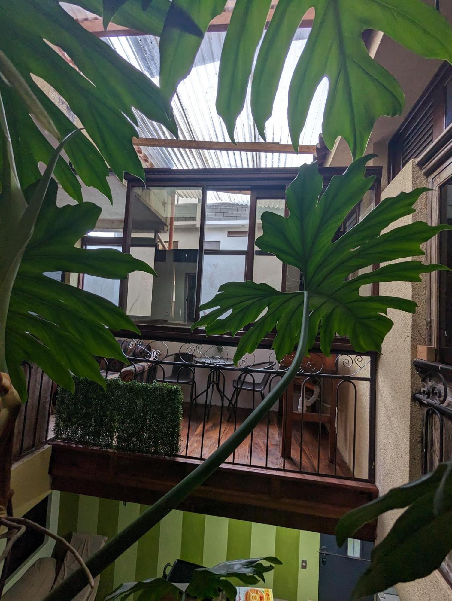 Santiago AtitlánCasa Gonzalezアパートメント エクステリア 写真
